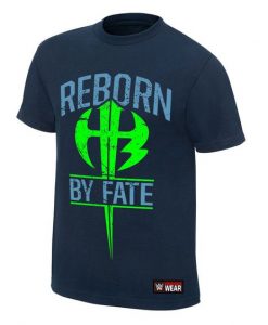 Reborn by Fate T-Shirt DS01