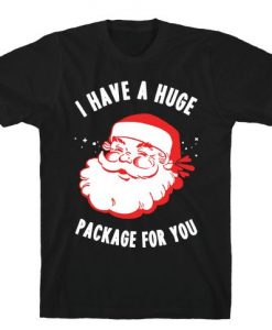 I Have A Huge Package For You Santa Tshirt EL31