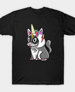 Glider Unicorn Hat T Shirt SR29N