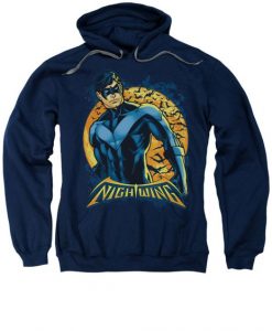 Nightwing dc comics Hoodie FD6D