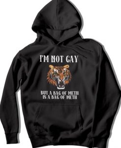 I'm not gay but a bag of meth Hoodie AG22MA1