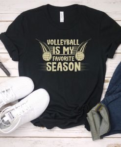 Volleyball Favorite Season T-Shirt SR21M1